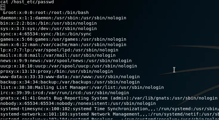 Contents of the host system's /etc/passwd file accessed from within the Docker container