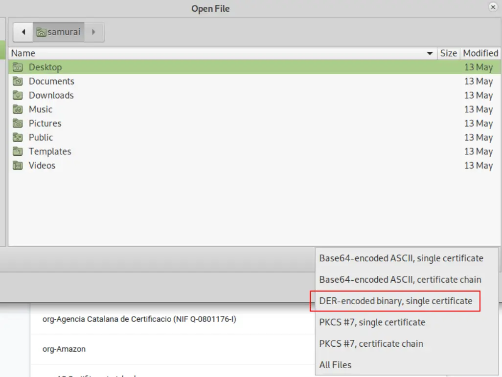File open dialog for selecting the exported Burp CA certificate file
