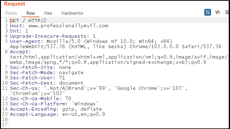 HTTP request headers to professionallyevil.com