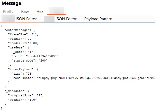 Decoded JSON payload
