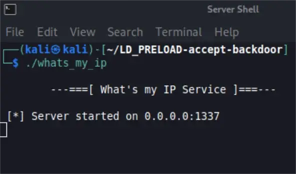 The whats_my_ip server running and waiting for connections