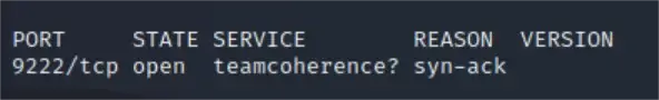 NMAP scan results incorrectly identifying Chrome debug port as teamcoherence