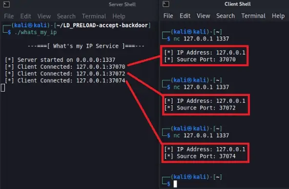 Server and client shells showing normal whats_my_ip behavior