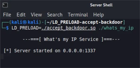 Server running normally with injected backdoor