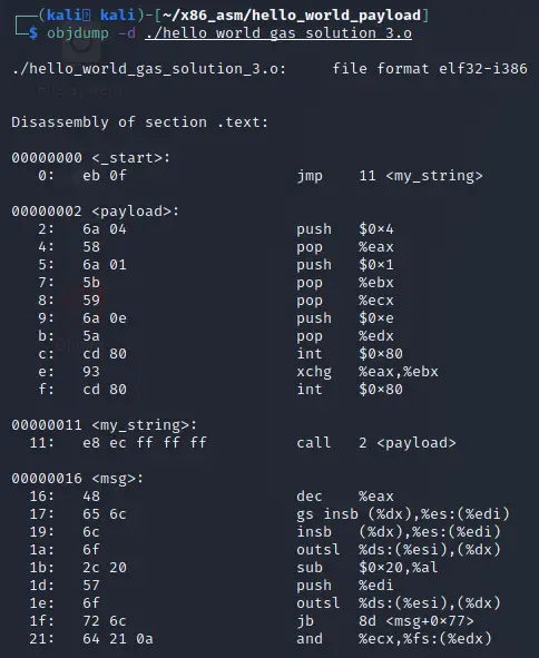 Objdump of the object file showing payload in the .text section
