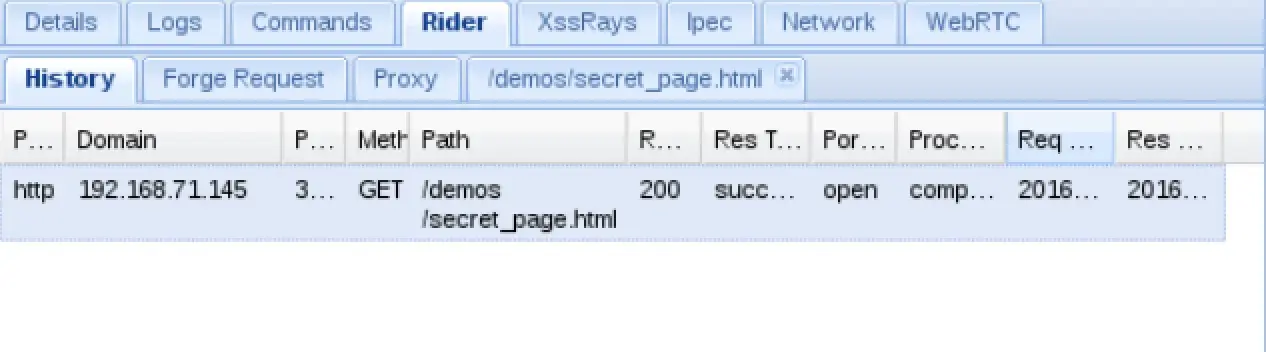 BeEF Rider tab showing the HTTP request interface and history panel