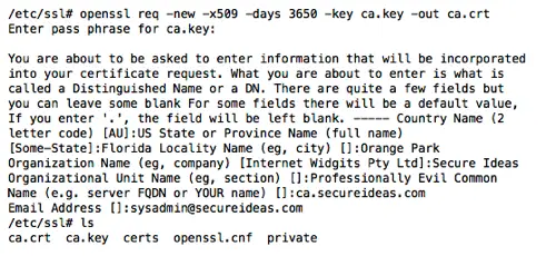 Terminal output showing the OpenSSL certificate signing process with organization details