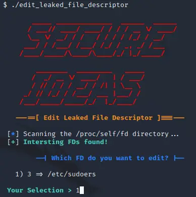 Running the tool gives us a menu to select the interesting file descriptors
