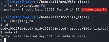 Example run of the SetUID binary showing the limited user shell and lack of sudo permissions