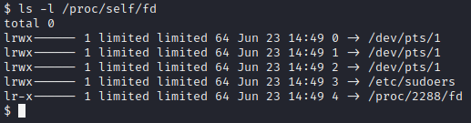 Reviewing the /proc/self/ filesystem via the ls -l command