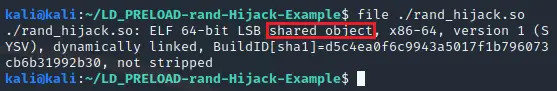 File command showing the binary is a shared object ELF