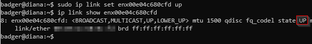 ip a output showing the USB-C ethernet adapter interface now in UP state