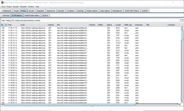 Burp Suite proxy history showing over 200 requests generated by Firefox on startup