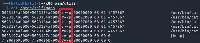 Memory mapping permissions of a process on Linux