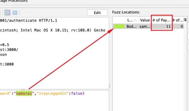 Fuzzer dialog showing fuzz location with 11 payloads configured